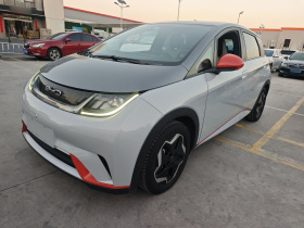 比亚迪 海豚 2021款 405km 自由版