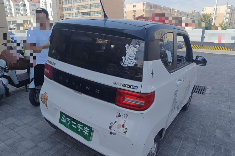 五菱汽车 宏光MINIEV 2020款 自在款 磷酸铁锂车身外观6005