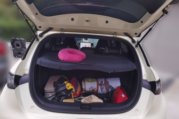 比亚迪 海豚 2023款 420km 自由版局部细节23