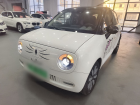 欧拉黑猫 2021款 351km 豪华型