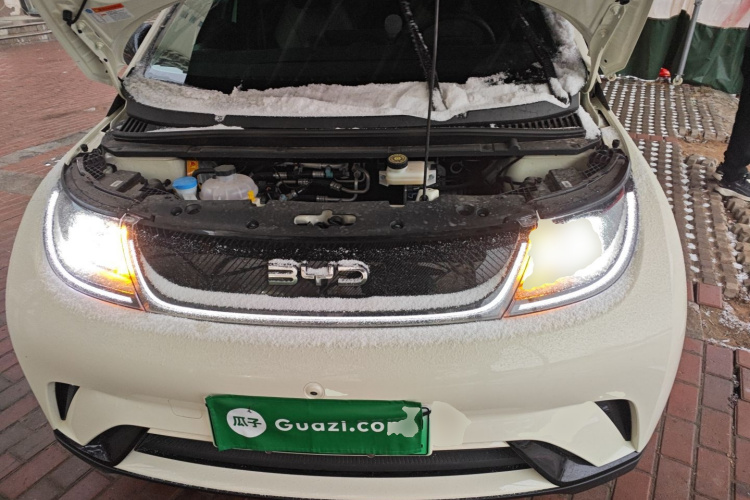 比亚迪 海豚 2025款 420km 自由版机舱底盘24