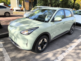 吉利银河 星愿 2026款 310km 梦想版