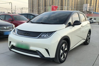 比亚迪 海豚 2024款 荣耀版 420km 时尚版