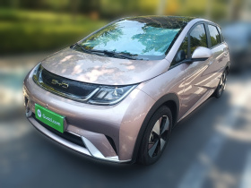 比亚迪 海豚 2023款 420km 时尚版