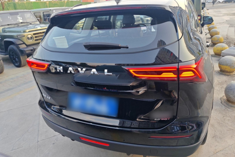 哈弗H6 2024款 2.0T 两驱Max车身外观6