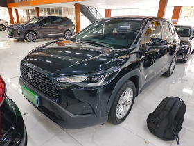 丰田 卡罗拉锐放 2024款 2.0L 精英版