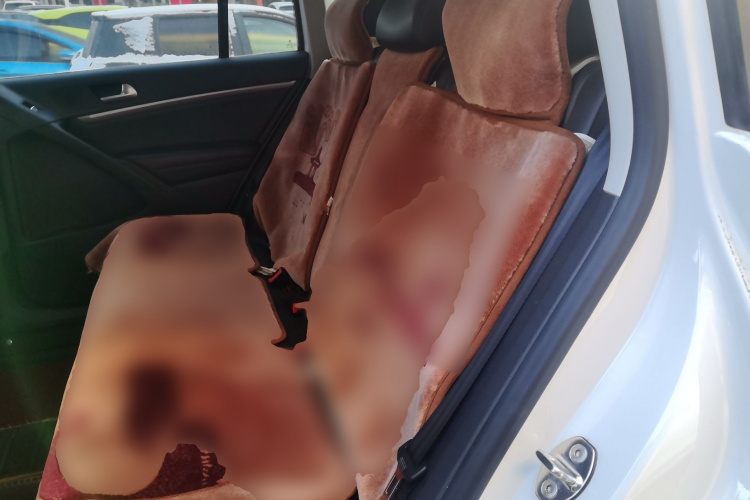 大众 途观 2015款 1.8TSI 自动两驱舒适版中控内饰21