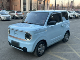 吉利银河 2023款 熊猫mini 200km 耐力熊