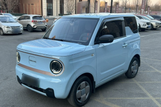 吉利银河 2023款 熊猫mini 200km 耐力熊