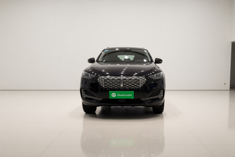 魏牌 VV6 2021款 2.0T 两驱智享+车身外观2