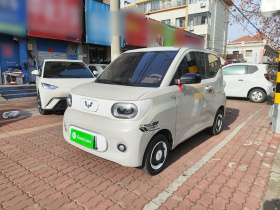 五菱汽车 宏光MINIEV 2024款 第三代 215km 青春版