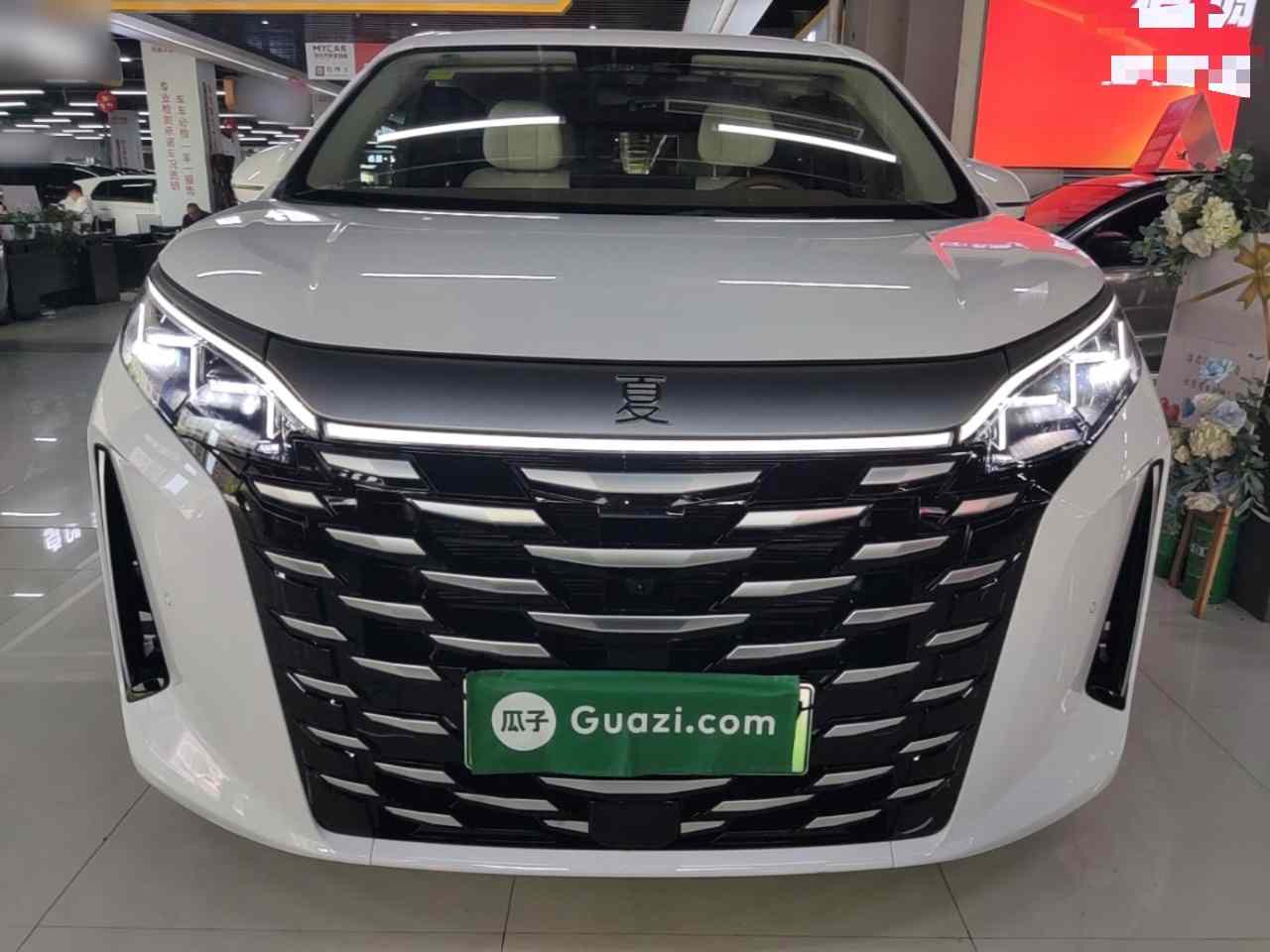 比亚迪 夏 2025款 DM-i 1.5T 100km 领先型(1)