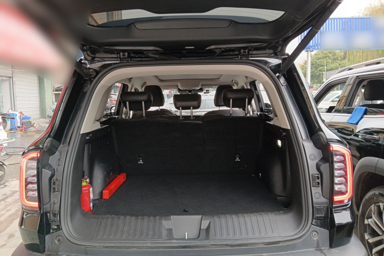 哈弗大狗 2024款 2.0T DCT中华田园犬版局部细节23