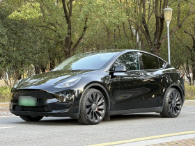 特斯拉 Model Y 2022款 Performance高性能全轮驱动版