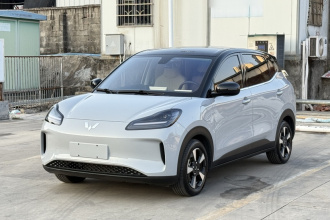 五菱汽车 五菱缤果PLUS 2024款 401km 五座版