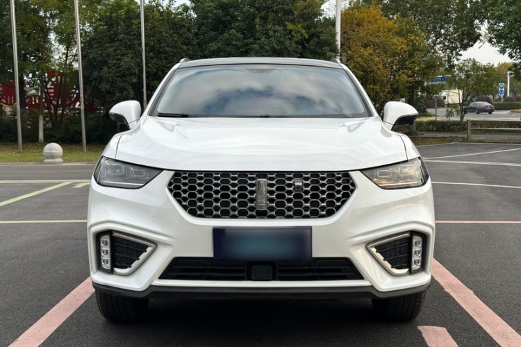 魏牌 VV5 2021款 1.5T 两驱颜先锋车身外观6001