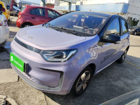 江淮钇为 钇为花仙子 2024款 挚爱版 301km Air