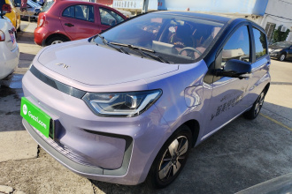 江淮钇为 钇为花仙子 2024款 挚爱版 301km Air