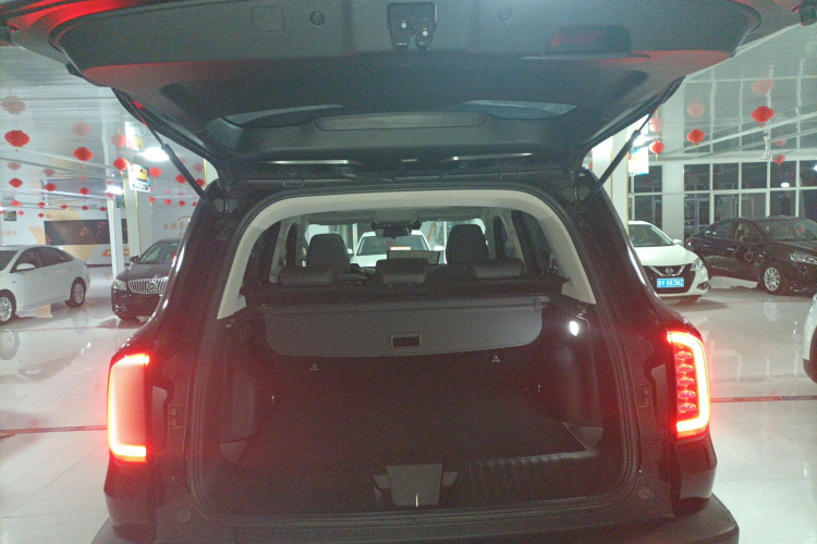 哈弗大狗 2021款 1.5T DCT两驱边牧-旺财版机舱底盘23