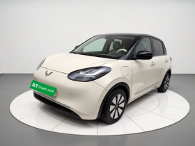 五菱汽车 五菱缤果 2023款 333km 灵犀互联+款