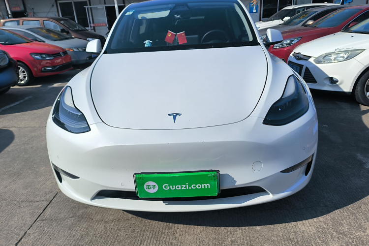 特斯拉 Model Y 2021款 改款二 长续航全轮驱动版车身外观6001