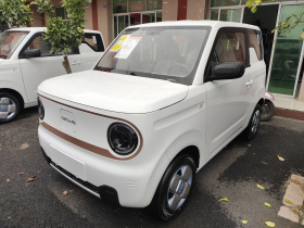 吉利银河 2024款 熊猫mini 200km 耐力熊