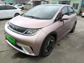 比亚迪 海豚 2021款 405km 时尚版