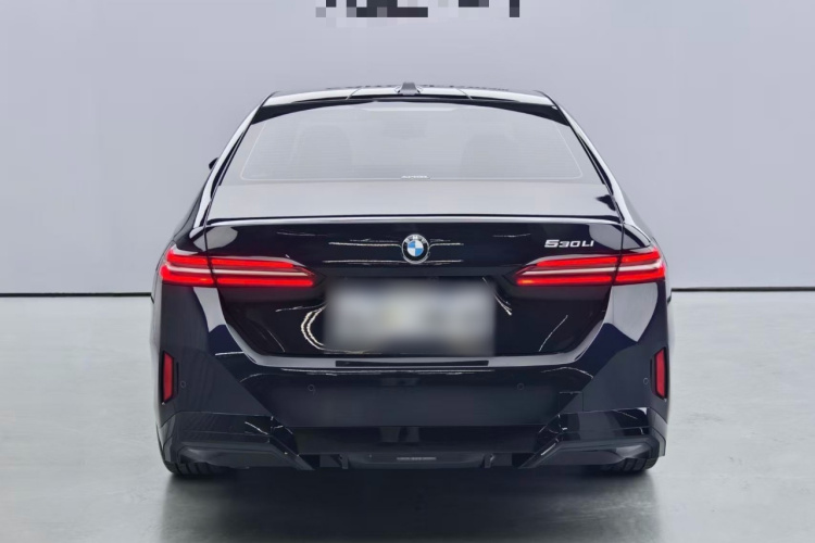 宝马5系 2025款 530Li 领先型 M运动套装车身外观6