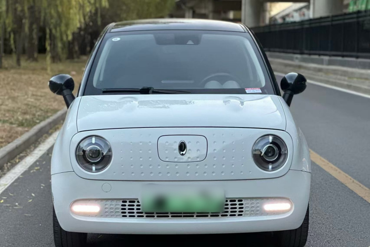 欧拉黑猫 2021款 351km 豪华型车身外观6003