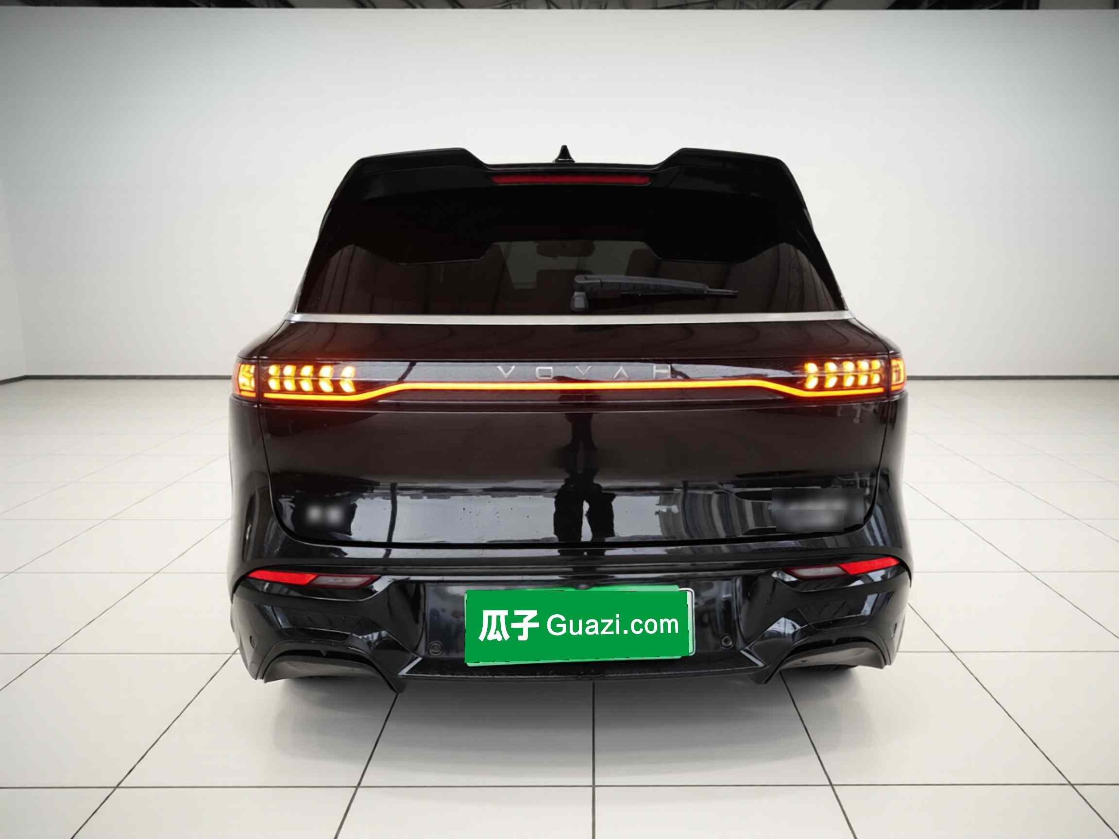 岚图汽车 岚图FREE 2024款 超长续航智驾版(4)