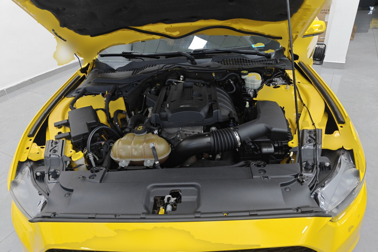 福特Mustang（平行进口） 局部细节24