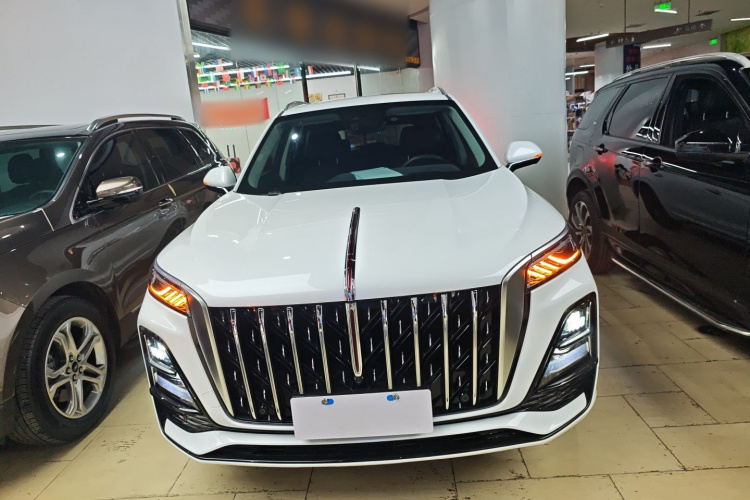 红旗HS5 2023款 2.0T 旗享Pro版车身外观2