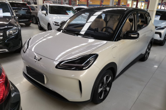 五菱汽车 五菱缤果PLUS 2024款 510km 五座版