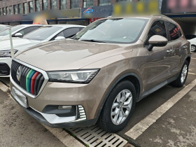 宝沃BX5 2017款 20TGDI 自动两驱先锋型