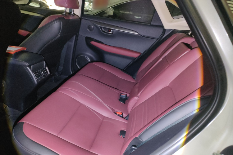 雷克萨斯NX 2020款 200 前驱 锋行版 国VI中控内饰21