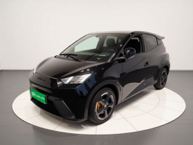 比亚迪 海鸥 2023款 自由版