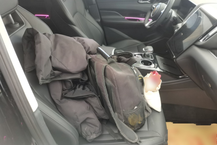 红旗HS3 PHEV 2024款 PHEV 115km 劲为版局部细节41