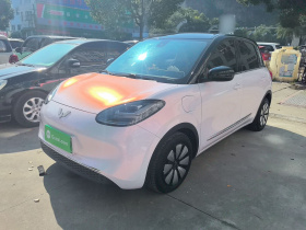 五菱汽车 五菱缤果 2023款 333km 灵犀互联款