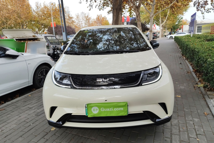 比亚迪 海豚 2025款 420km 自由版车身外观6001