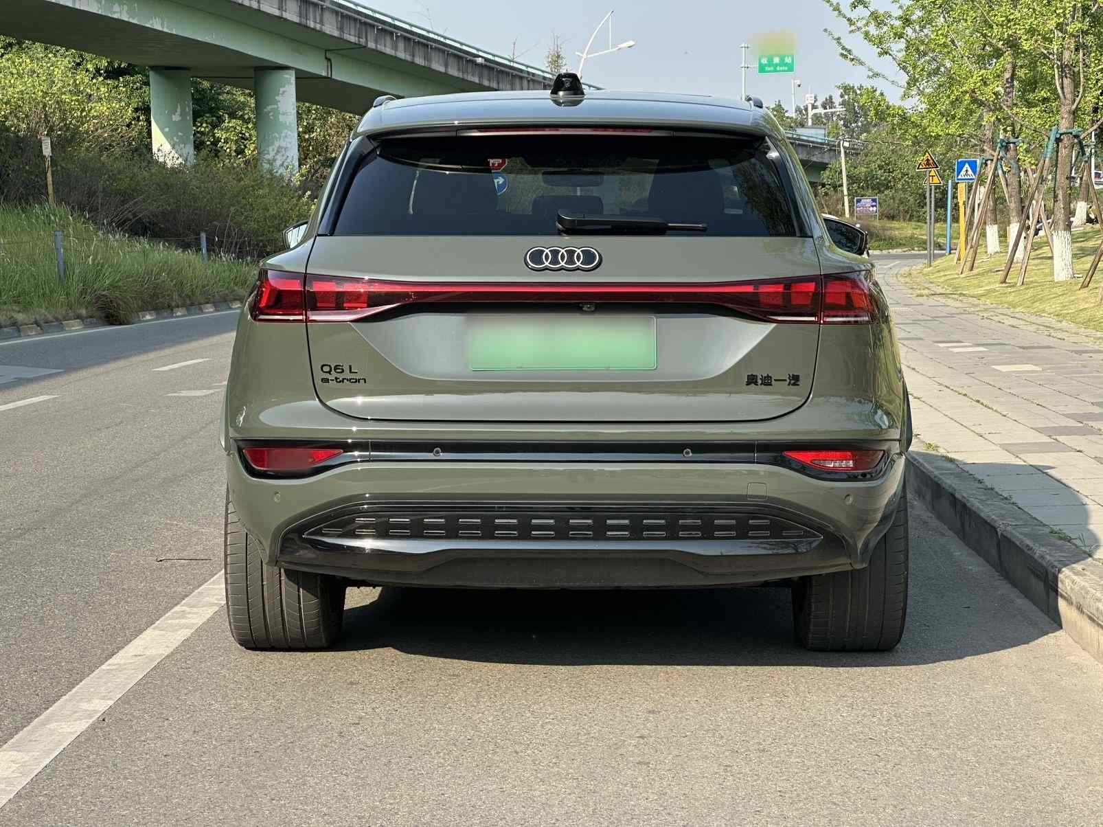 奥迪Q6L e-tron 2026款 首发领航版(2)