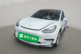 特斯拉 Model 3 2019款 标准续航后驱升级版