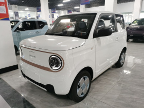 吉利银河 2024款 熊猫mini 200km 耐力熊