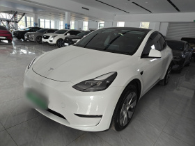 特斯拉 Model Y 2021款 长续航全轮驱动版