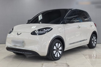 五菱汽车 五菱缤果 2025款 333km 灵犀互联款