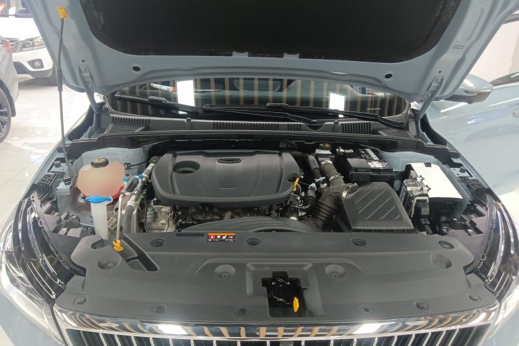 吉利汽车 帝豪 2023款 第4代冠军版 1.5L CVT尊贵型局部细节24