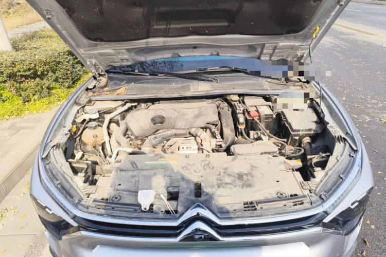 雪铁龙 凡尔赛C5 X 2021款 1.6T 耀不凡局部细节24