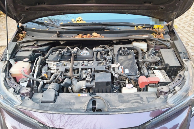 丰田 雷凌 2019款 双擎 1.8H E-CVT运动版 国VI局部细节24