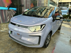 江淮钇为 钇为花仙子 2024款 挚爱版 301km Lite