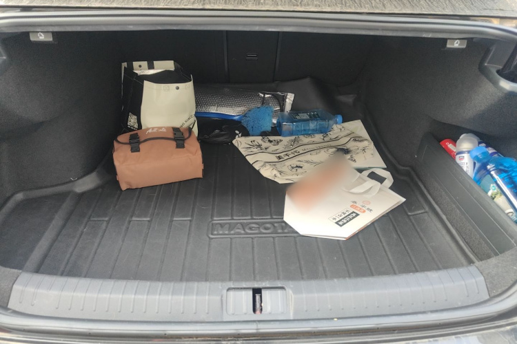 大众 迈腾 2019款 330TSI DSG 尊贵型 国VI局部细节23