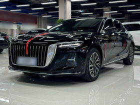 红旗H5 2024款 2.0T 自动智联旗畅版